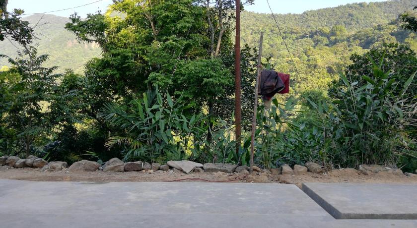 Delight Homestay photo