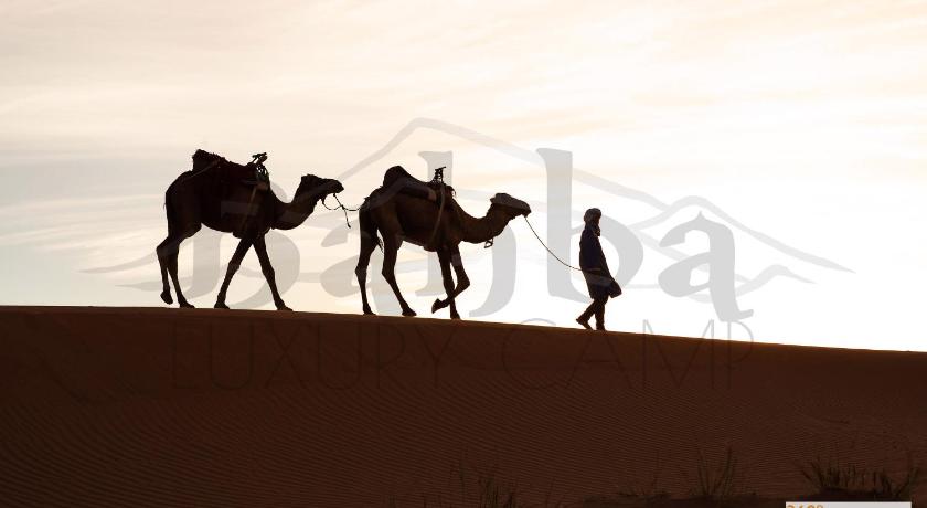 Bahba Luxury Camp photo