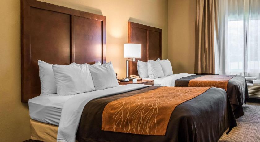 Comfort Inn Lancaster County Columbia