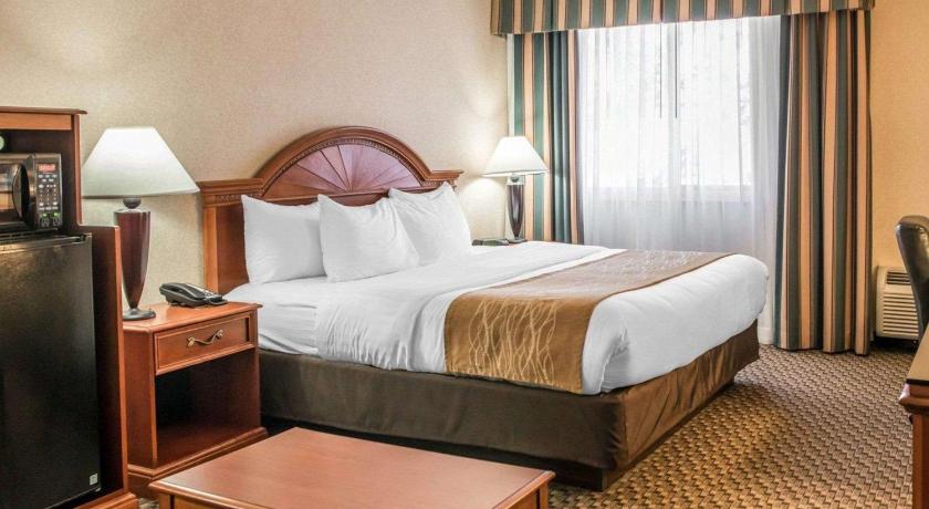 Comfort Inn and Suites Pittsburgh Hotel