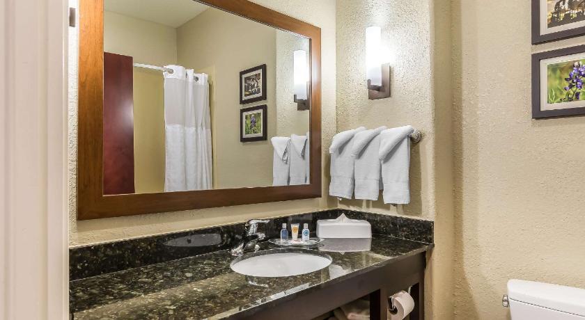 Comfort Suites Houston IAH Airport - Beltway 8