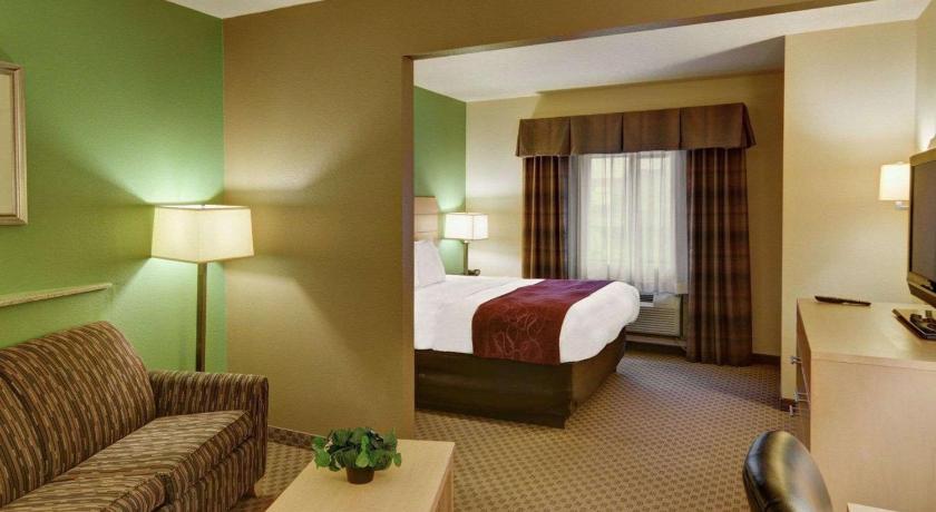 Comfort Suites Lindale - Tyler North