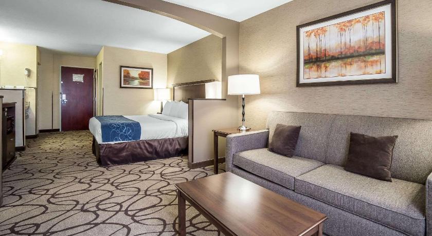 Comfort Suites Airport