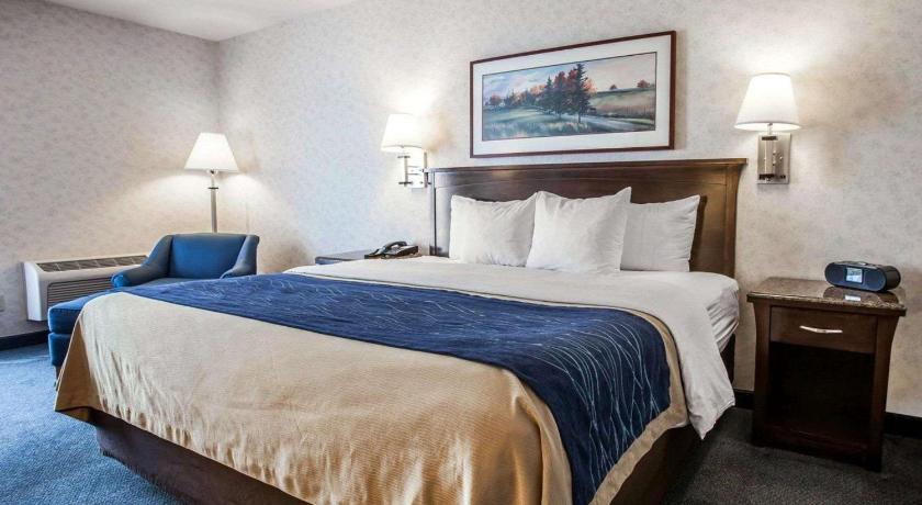 Comfort Inn Bellingham