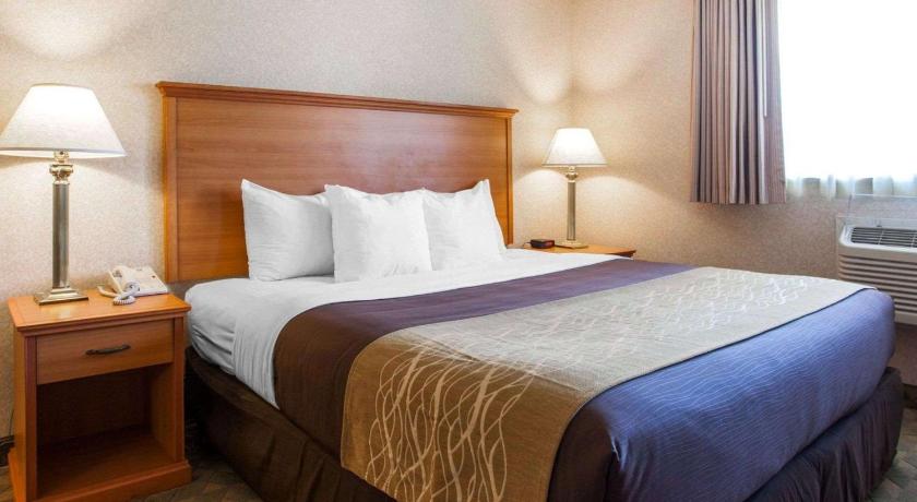 Comfort Inn Kirkland