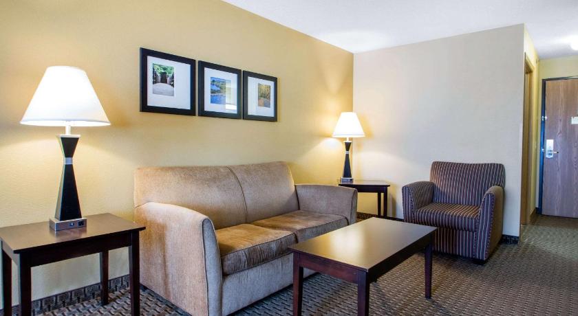 Comfort Suites Wisconsin Dells Area
