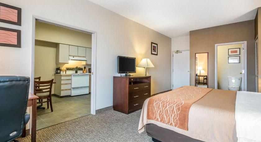 Comfort Inn and Suites Seattle