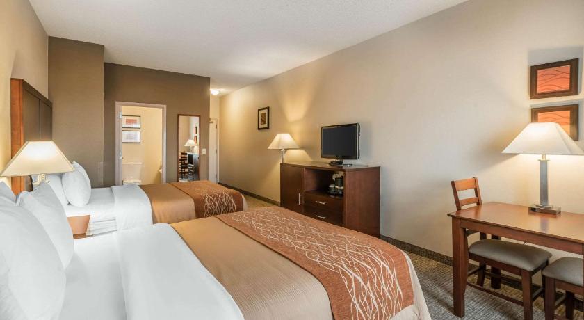 Comfort Inn and Suites Seattle