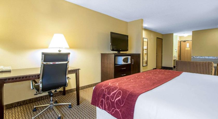 Comfort Suites Wisconsin Dells Area