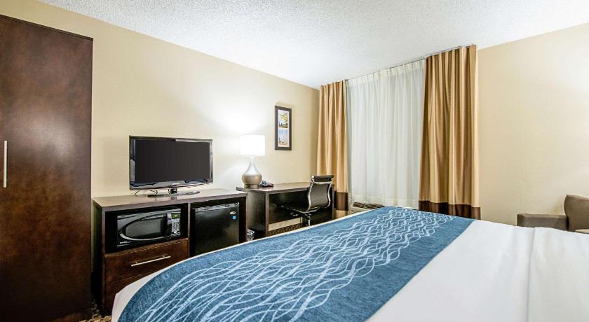 Comfort Inn  Matteson - Chicago