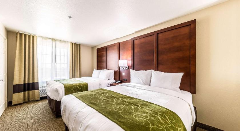 Comfort Suites Grand Prairie - Arlington North