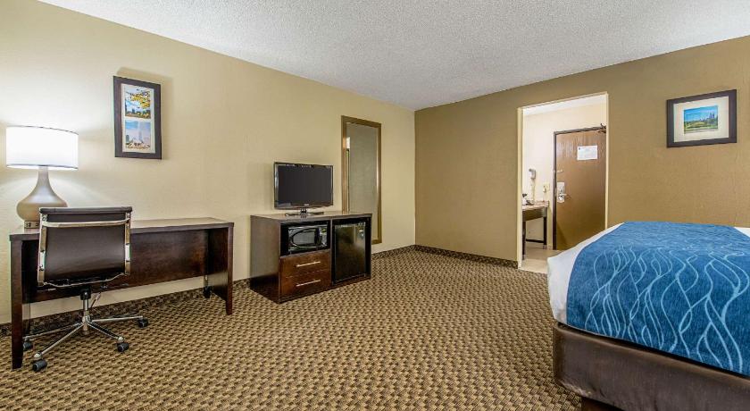 Comfort Inn  Matteson - Chicago