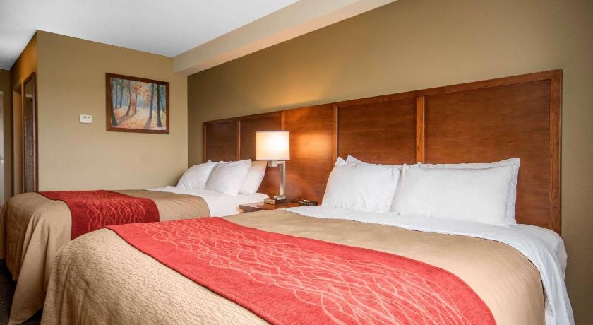 Comfort Inn & Suites Langley