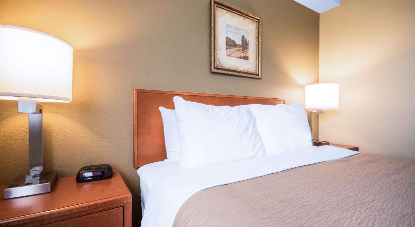 Comfort Inn & Suites Langley