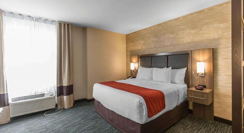 Comfort Inn and Suites Airport North Calgary