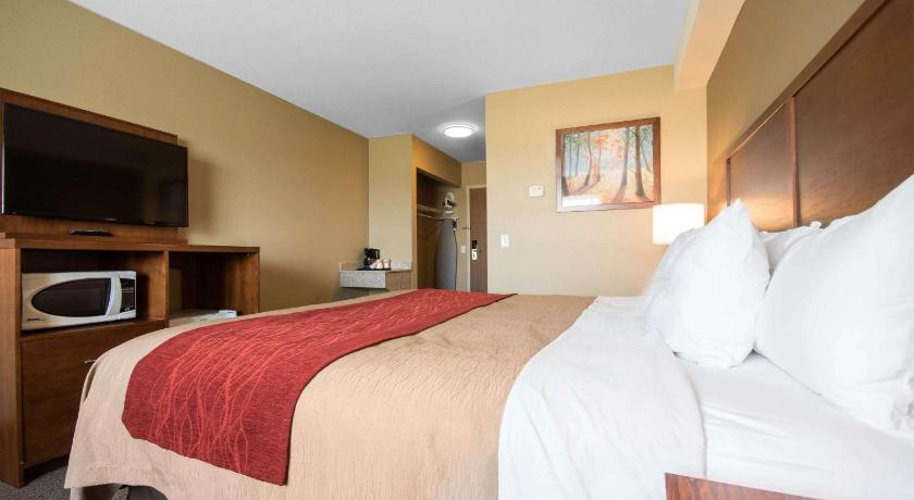 Comfort Inn & Suites Langley