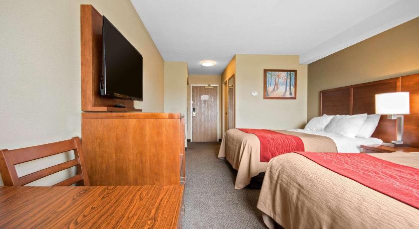 Comfort Inn & Suites Langley