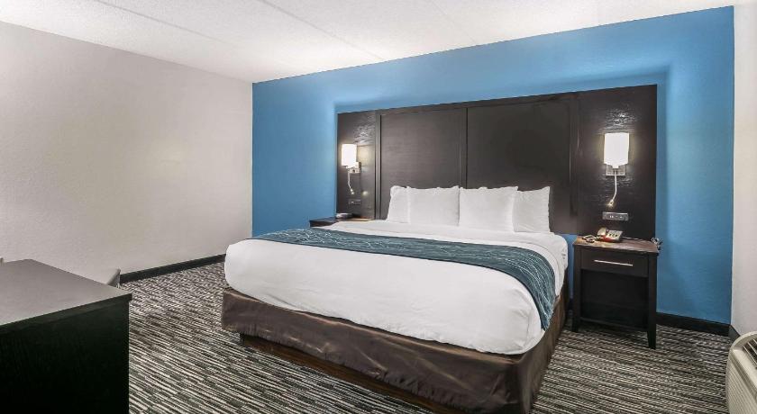 Comfort Inn University Gainesville