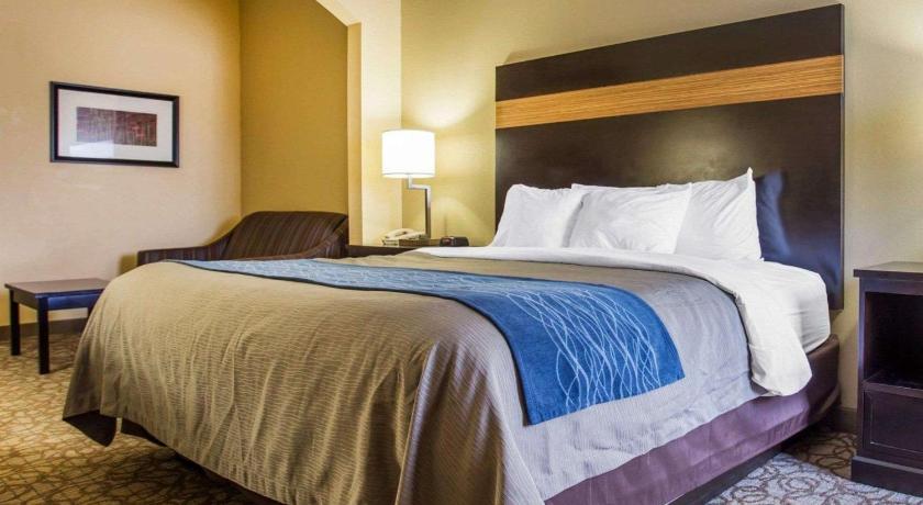 Comfort Inn & Suites at Stone Mountain