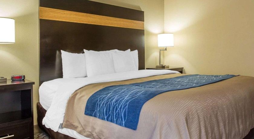 Comfort Inn & Suites at Stone Mountain