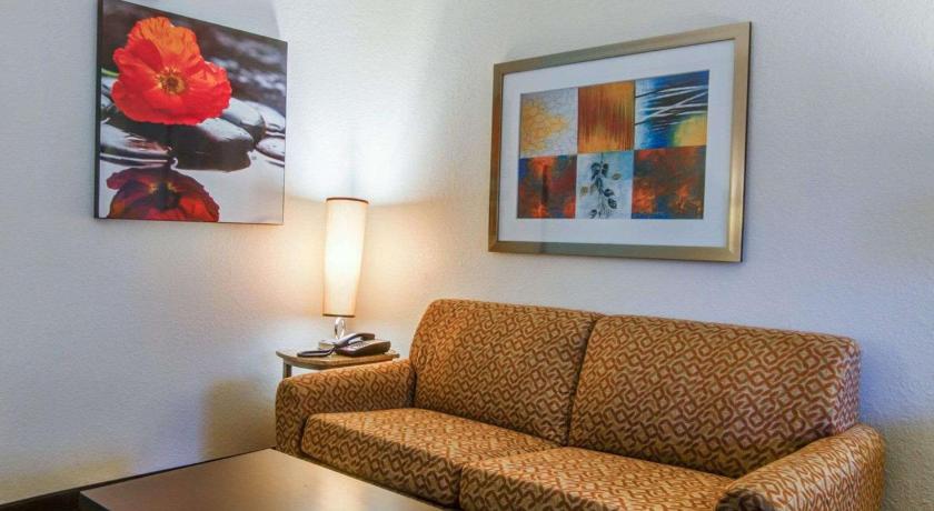 Comfort Suites Gwinnett Medical Center Area