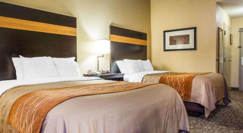 Comfort Inn & Suites at Stone Mountain