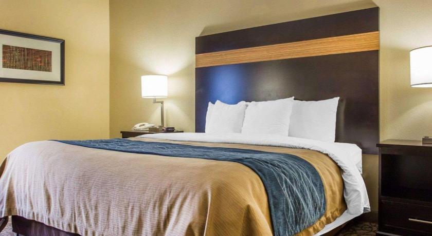 Comfort Inn & Suites at Stone Mountain