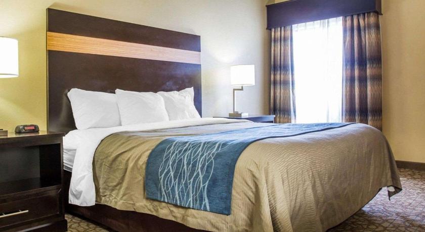 Comfort Inn & Suites at Stone Mountain