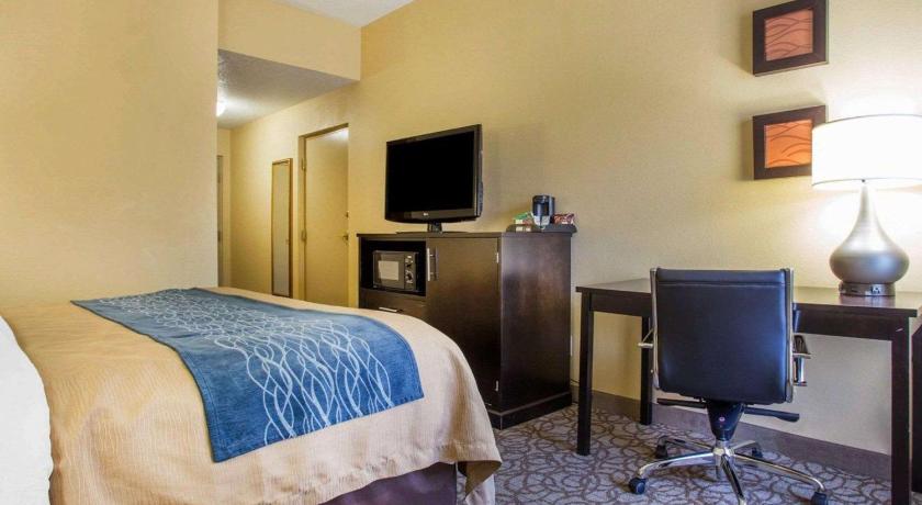 Comfort Inn & Suites at Stone Mountain