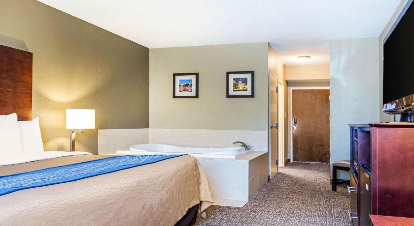 亞特蘭大 Comfort Inn Atlanta Downtown South 2星级 酒店 套房