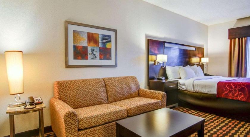 Comfort Suites Gwinnett Medical Center Area