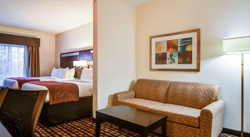 Comfort Suites Gwinnett Medical Center Area