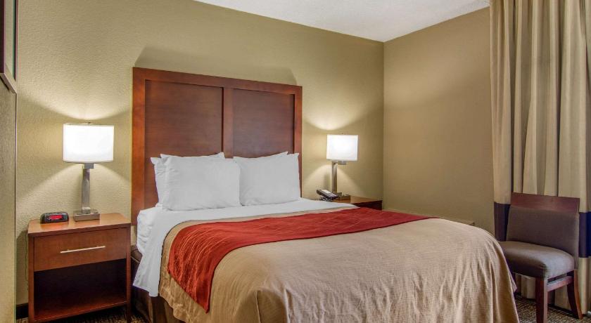 Comfort Inn Sandy Springs - Perimeter