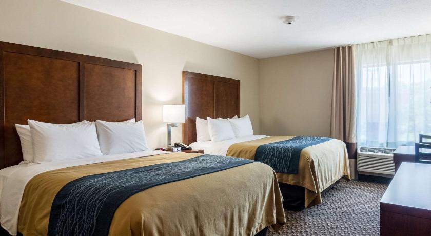 Comfort Inn Edwardsville - St. Louis