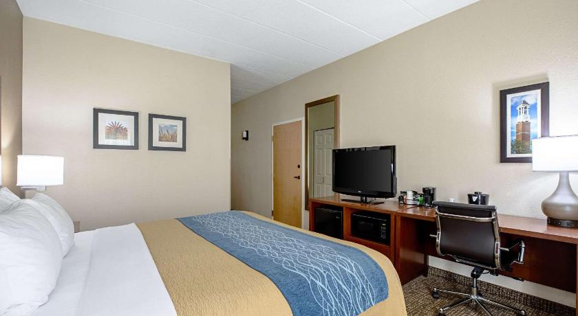 Comfort Inn Indianapolis North - Carmel