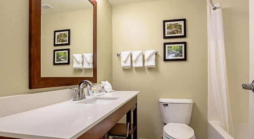 Comfort Inn Indianapolis North - Carmel