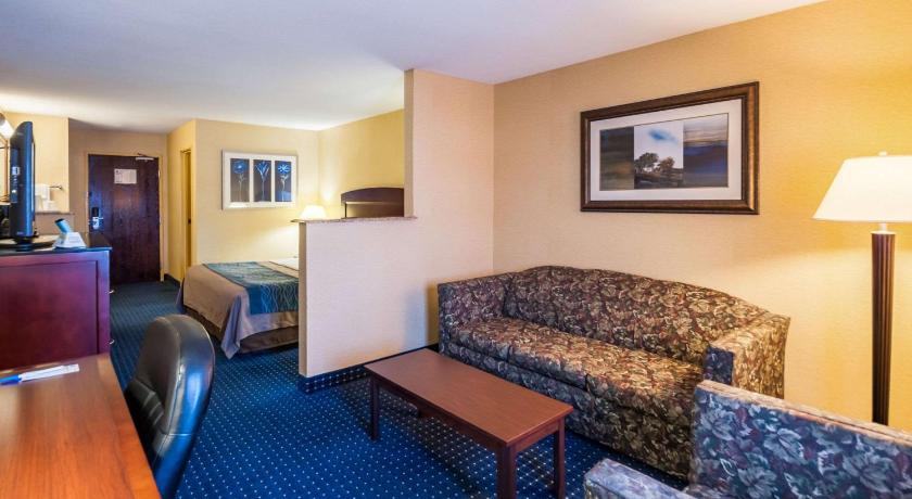 Comfort Inn and Suites North East