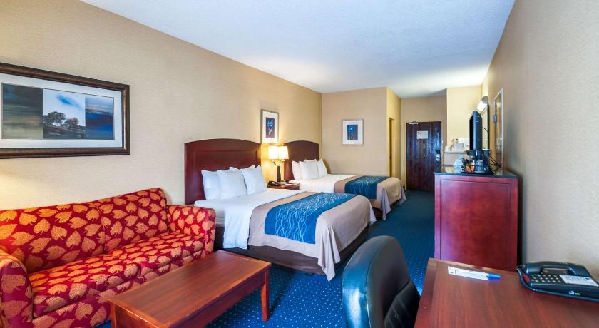 Comfort Inn and Suites North East