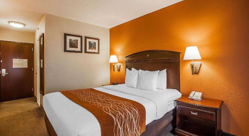 Comfort Inn & Suites Somerset - New Brunswick