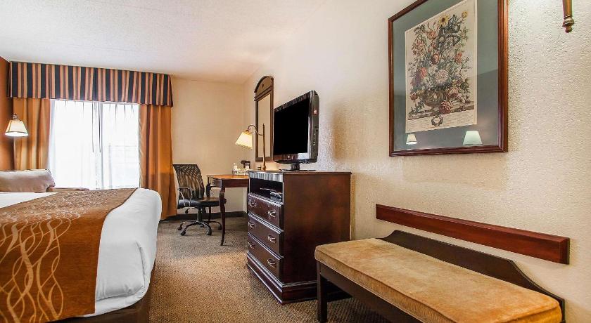 Comfort Inn & Suites Somerset - New Brunswick