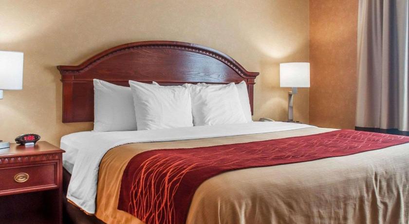 Quality Inn Near Walden Galleria Mall