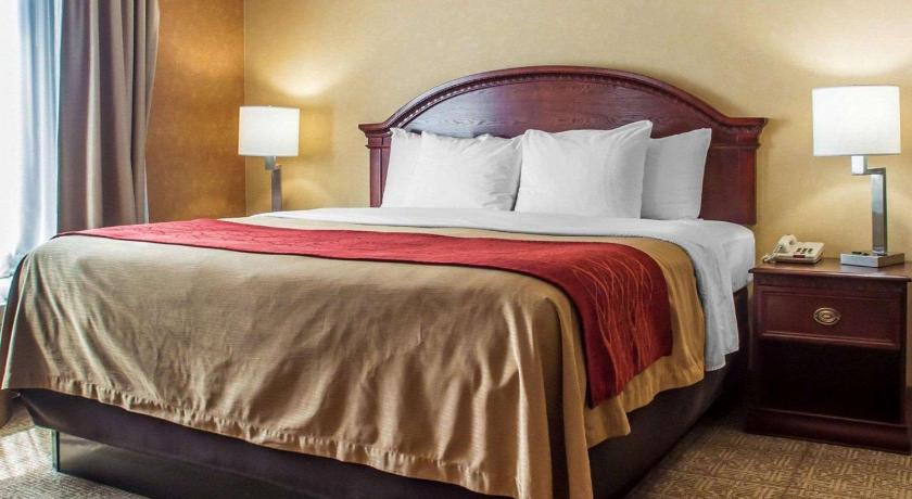 Quality Inn Near Walden Galleria Mall