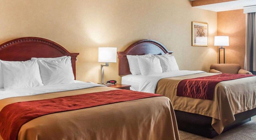 Quality Inn Near Walden Galleria Mall