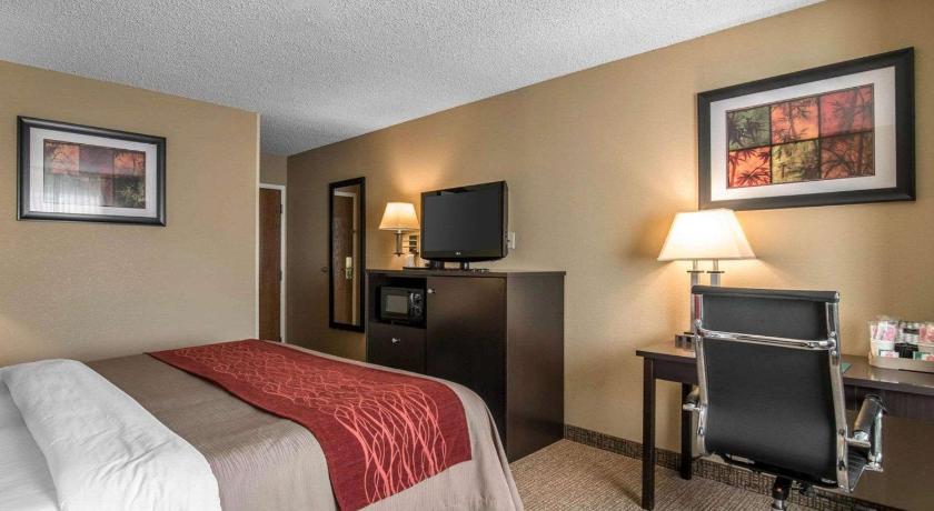 Comfort Inn Saugerties