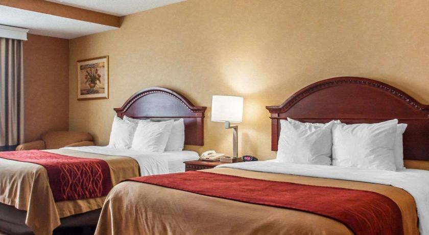 Quality Inn Near Walden Galleria Mall