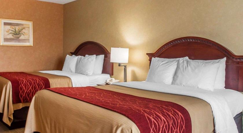 Quality Inn Near Walden Galleria Mall