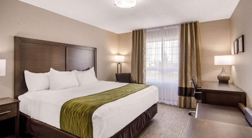 Comfort Inn and Suites Red Deer