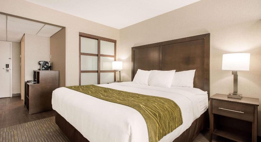 Comfort Inn and Suites Red Deer