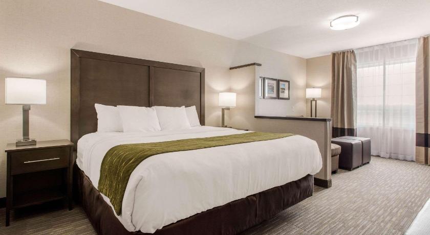 Comfort Inn and Suites Red Deer