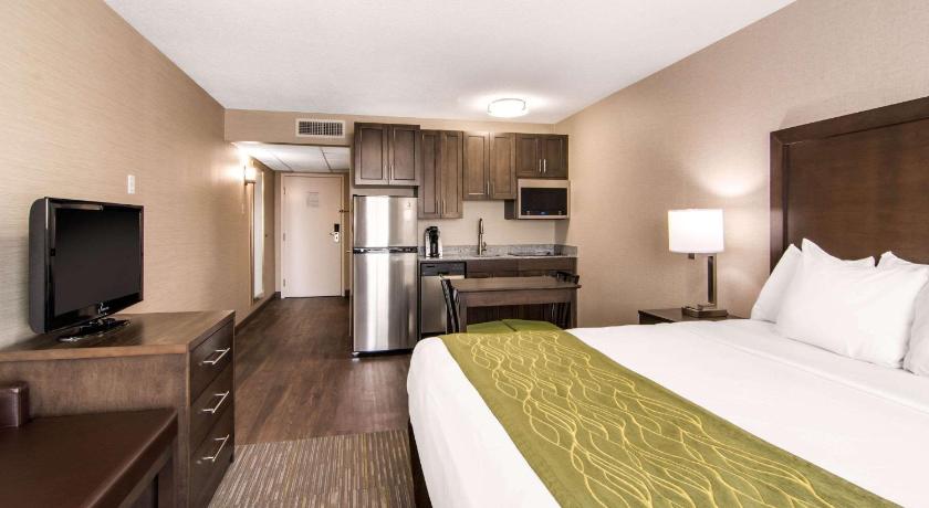 Comfort Inn and Suites Red Deer